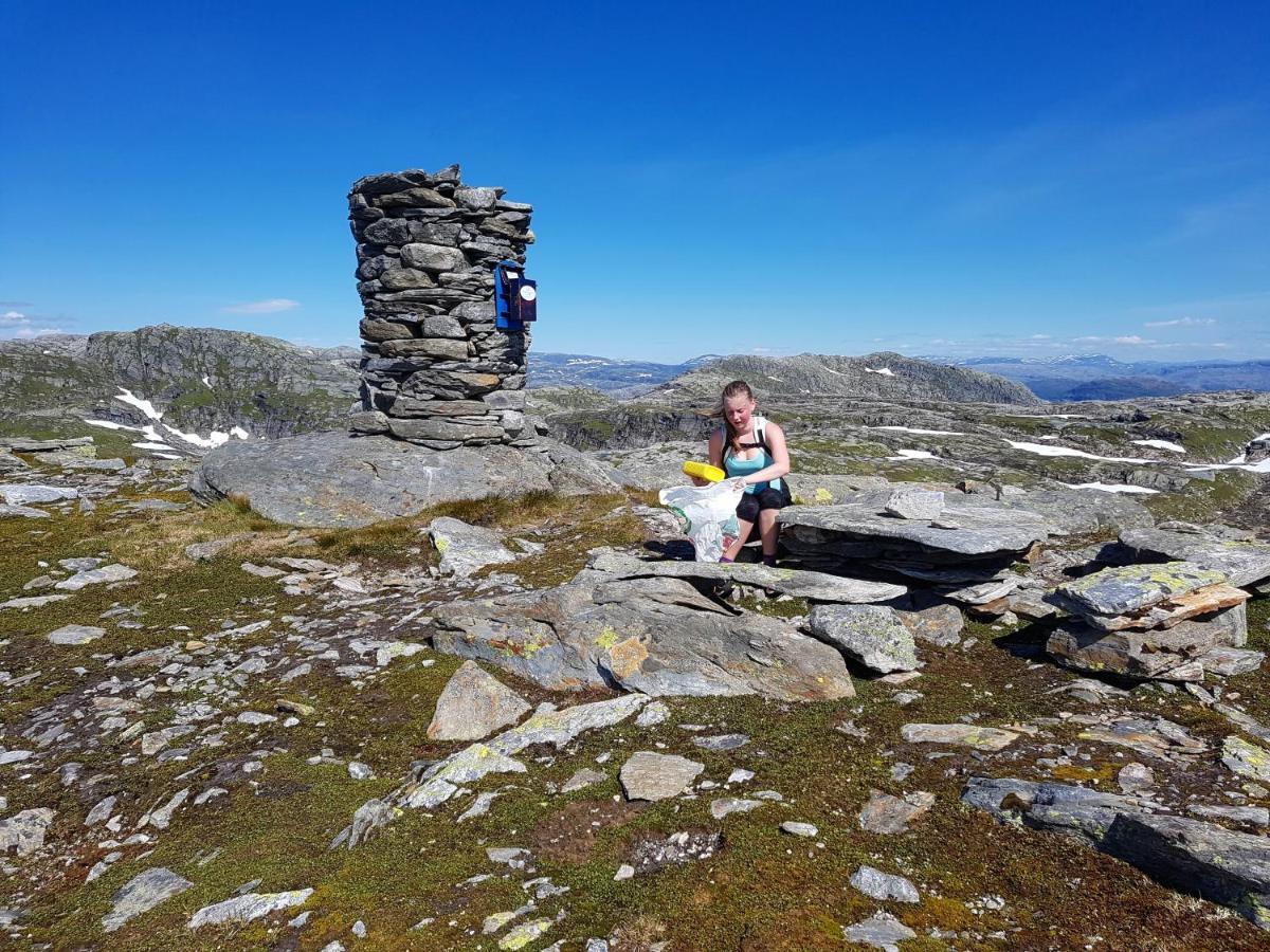 Etne Hytter Etnesjoen Exteriör bild